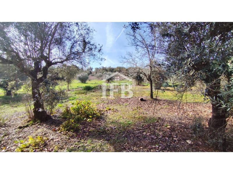 Foto 51b7c3f5-c4d6-4564-b0b2-adc6e2fdd3f2. Finca rústica a Codosera (La)