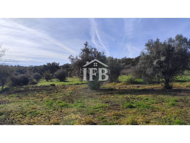 Foto 582d91e3-91e0-453f-9473-73984f9f57d1. Finca rústica a Codosera (La)