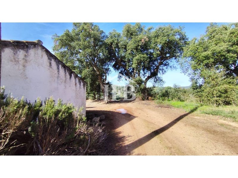 Foto b684bee4-b779-4e0e-91ba-b38717b5ceb0. Finca rústica a Codosera (La)