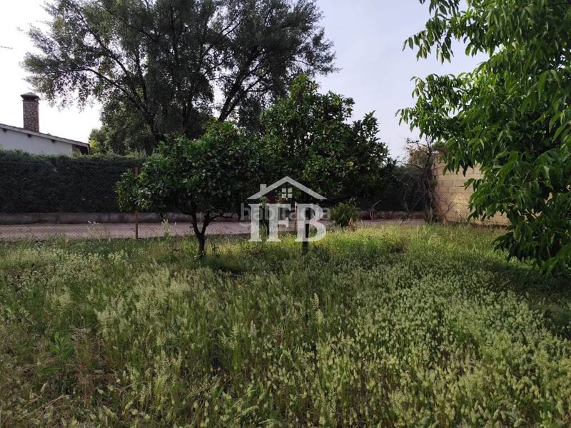 Foto 53129365-7438-4199-ad76-41f6c2aed41b. Finca rústica a Valverde de Leganés