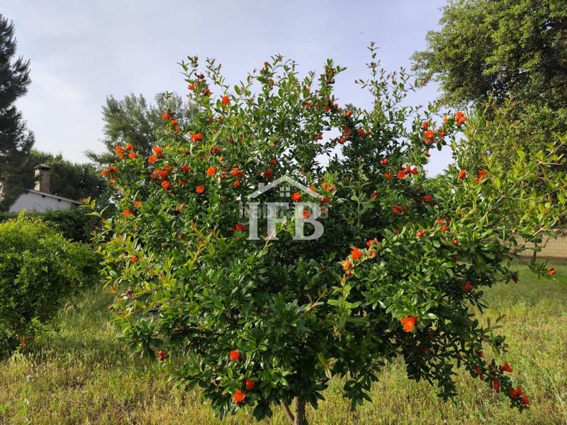 Foto a4b23747-3dbc-4b80-8490-495ca994134a. Finca rústica a Valverde de Leganés