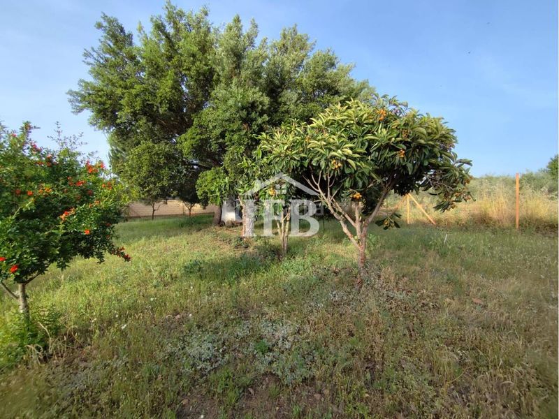 Foto a699d2af-d54c-407b-9fdf-f11fd665bd02. Finca rústica a Valverde de Leganés