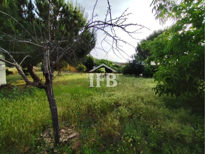 Foto c849b135-bcb0-4af4-8fa2-57996b73b762. Finca rústica a Valverde de Leganés