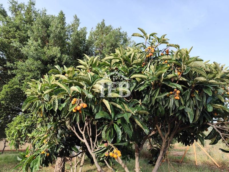 Foto e0b016d6-a7f4-4210-a18f-798a2de7ce2c. Finca rústica a Valverde de Leganés