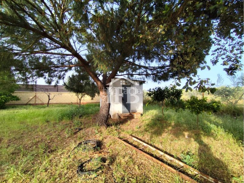 Foto e27260dc-d04e-40de-8c47-d642bb7fd120. Finca rústica a Valverde de Leganés