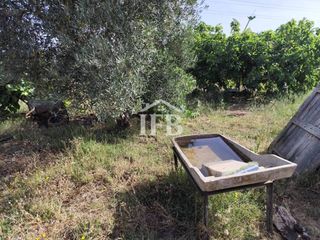 Rural plot in Carretera de Sevilla - Los Montitos. Finca rústica autosuficiente con casa, sondeo propio y 1.350 m d