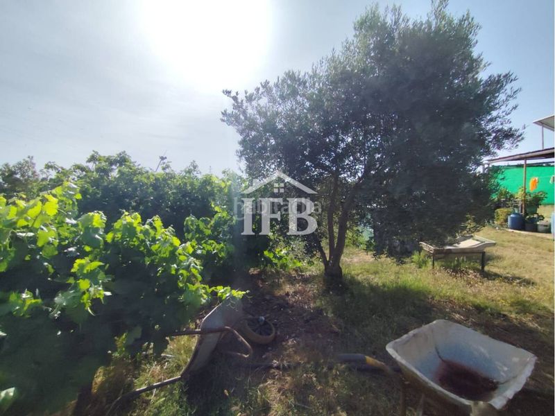 Foto 4e4e6257-6fd3-4b8e-a50d-bbccc50184f6. Finca rústica a Carretera de Sevilla - Los Montitos Badajoz