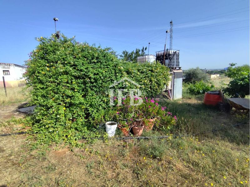 Foto 56ca3ff4-7d73-412c-baa2-8cdc2867f1c1. Finca rústica a Carretera de Sevilla - Los Montitos Badajoz