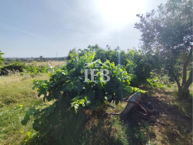 Foto c85100aa-e80b-4a5e-9c67-417935890948. Finca rústica a Carretera de Sevilla - Los Montitos Badajoz