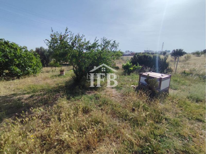 Foto f551b98f-54d5-484b-9db3-5a3b72c89129. Finca rústica a Carretera de Sevilla - Los Montitos Badajoz