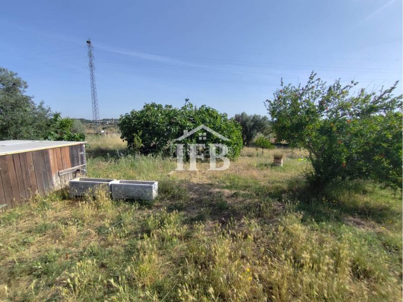 Foto f7aef9c3-5072-4fcc-98ad-0d9fc42b8269. Finca rústica a Carretera de Sevilla - Los Montitos Badajoz