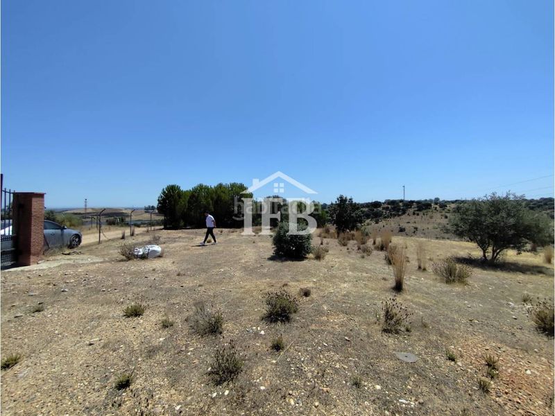 Foto 1b1129a7-b291-4f69-a7cf-e30be1708fca. Finca rústica a Carretera de Sevilla - Los Montitos Badajoz