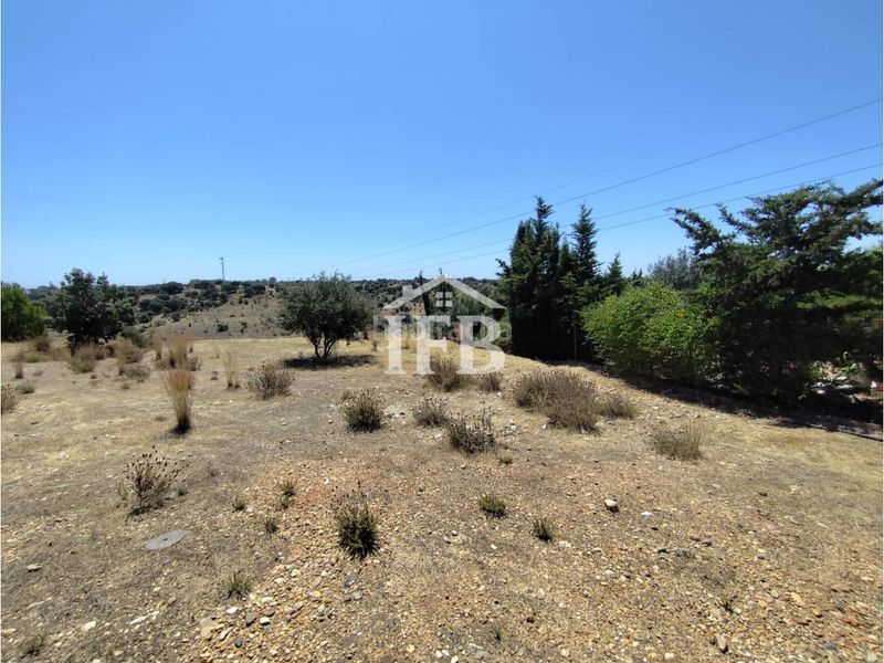 Foto 4799da72-33ba-4430-b93c-3c5d9de71821. Finca rústica a Carretera de Sevilla - Los Montitos Badajoz