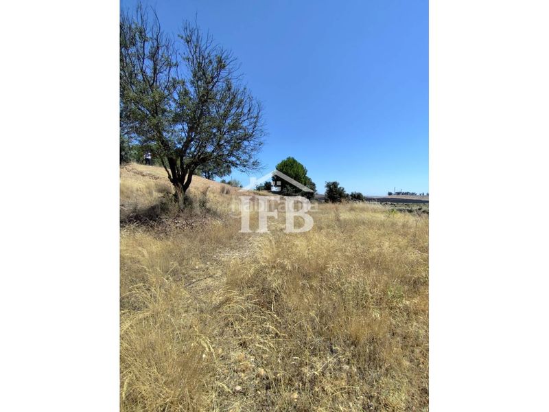 Foto 5376eefd-9616-401a-89f6-f6b0e0d4e1c3. Finca rústica a Carretera de Sevilla - Los Montitos Badajoz