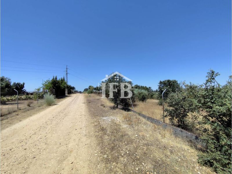 Foto 697a233a-37a9-4ba6-8ad3-fb52cc190495. Finca rústica a Carretera de Sevilla - Los Montitos Badajoz