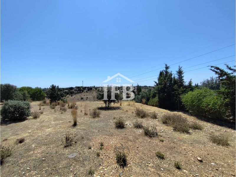 Foto 9329f596-52be-43bf-a22d-53f577c248ce. Finca rústica a Carretera de Sevilla - Los Montitos Badajoz
