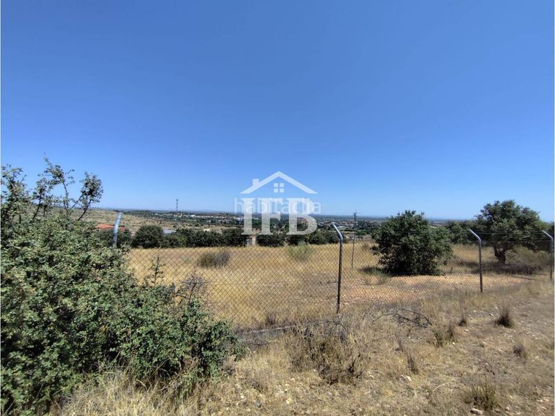 Foto b999d8e4-d959-411a-b1f8-2b01f351a795. Finca rústica a Carretera de Sevilla - Los Montitos Badajoz