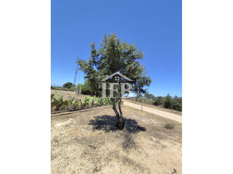 Foto bcba790e-db1c-4985-8922-c064dc729ca1. Finca rústica a Carretera de Sevilla - Los Montitos Badajoz