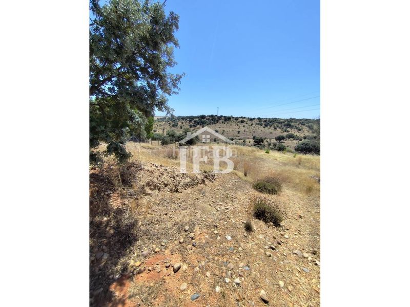 Foto c08039b5-44d0-4b85-bf0b-5ff3e5ae7ad2. Finca rústica a Carretera de Sevilla - Los Montitos Badajoz
