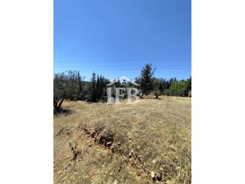 Foto d724c222-5b2e-4d1c-9c1b-1d7fd7cceb94. Finca rústica a Carretera de Sevilla - Los Montitos Badajoz