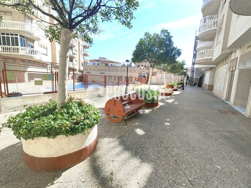 Foto d32a9bd5-bd99-4908-9218-1a4c9d920b84. Pis a Almuñecar centro Almuñécar