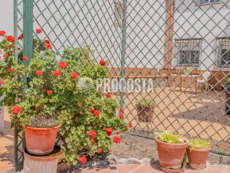 Foto 8908c4fc-9251-4fc4-b2cb-0f80355e5038. Casa amb piscina a Fuente Vaqueros