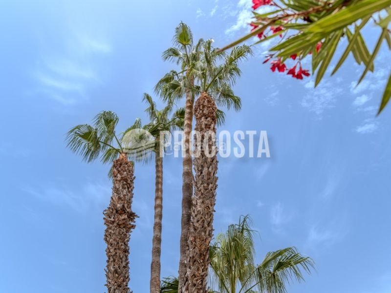 Foto 599246e6-37ed-4524-b92a-2d777e190a95. Casa amb calefacció aparcament piscina a Velilla - Velilla Taramay Almuñécar