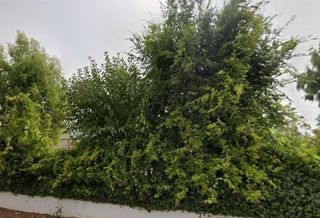 Nau industrial a La Paz. Cesion de remate