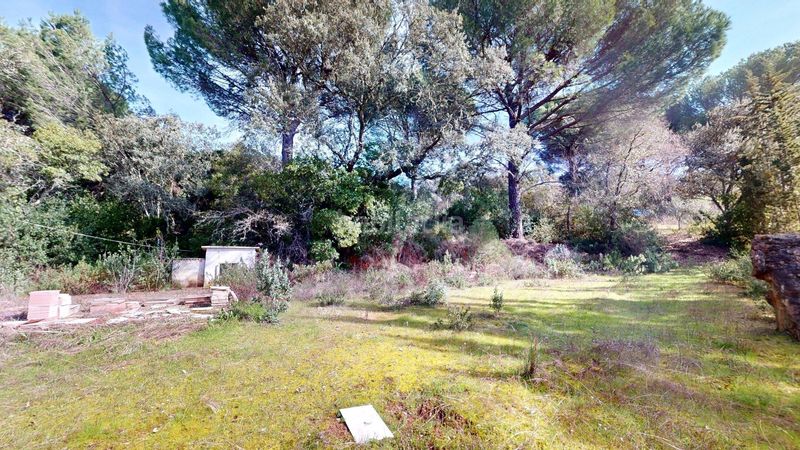 Foto 608db52f-2192-41e0-854d-3c17f2465849. Finca rústica a Santa Maria de Trassierra Córdoba