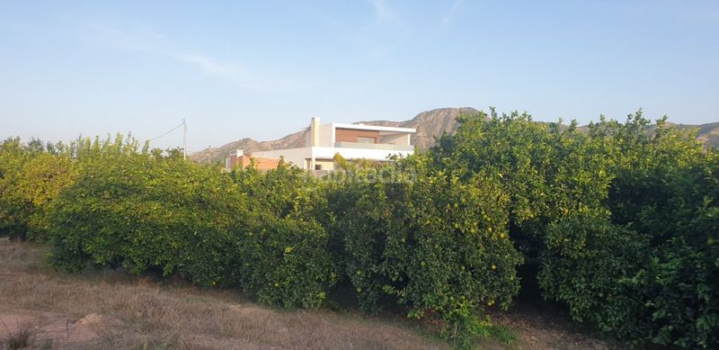 Foto 95e10406-1d33-4026-b1f1-fb862a7d6047. Finca rústica a Beniaján Murcia