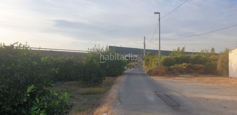Foto cc24cfc9-7511-4ce8-a88d-bc00cd01699a. Finca rústica a Beniaján Murcia