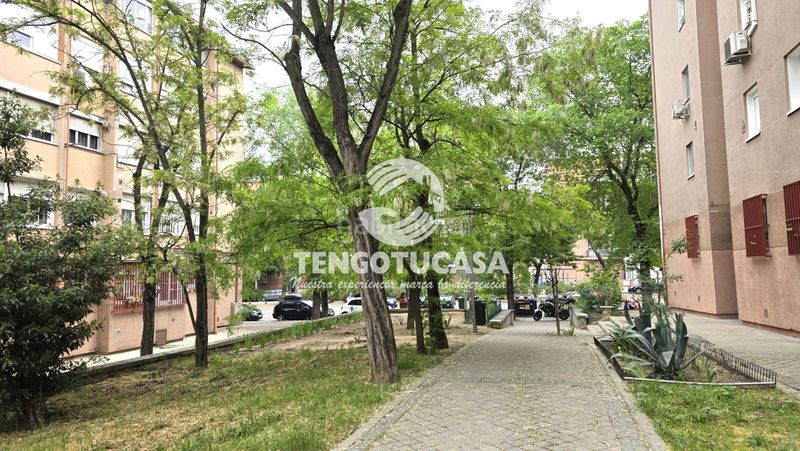 Foto f552e982-cf13-46b3-bcee-3ad15777c4fb. Pis a Pueblo Nuevo Madrid