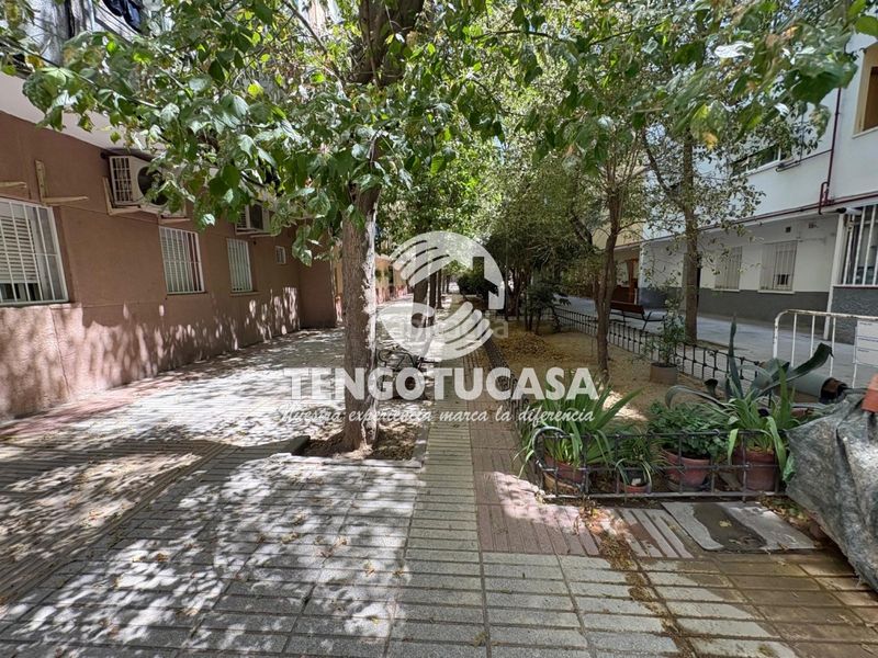 Foto c0ca80f0-3f50-4d32-b1cc-836988f0d072. Pis amb calefacció a Ambroz Madrid