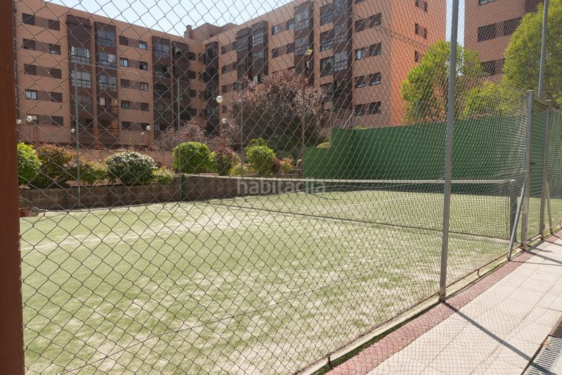 Foto 6deea826-ecd3-4113-87c4-62c72402108c. Lloguer pis amb piscina a Rejas Madrid