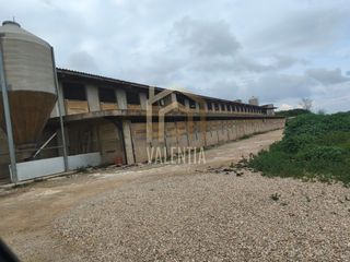 Business premise in Buñol