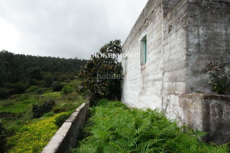 Foto 1c3041db-3579-49b5-b64f-13e81c74effe. Casa a La Vega - El Amparo - Cueva del Viento Icod de los Vinos