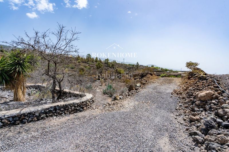 Foto a7a4249f-46ca-47d9-a8b3-3f7d06d34d11. Finca rústica a Chío Guía de Isora