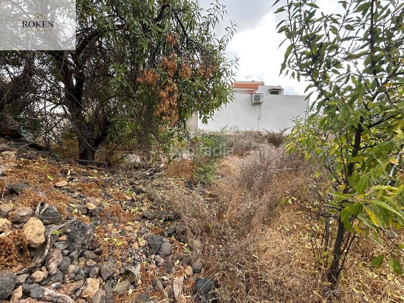 Foto eebbe5b9-ec6e-40cb-9a15-5878aefebfa2. Finca rústica a Chío Guía de Isora