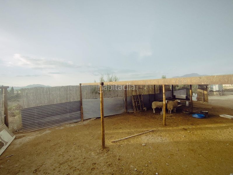 Foto 1d2dd320-9c28-4bef-9cf4-681dc5834d83. Xalet amb aparcament piscina a Pedanías Este Aspe