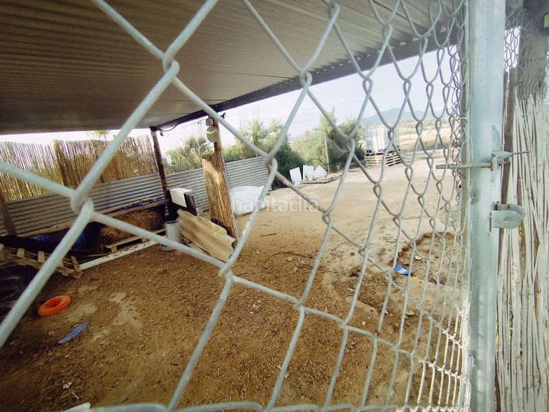 Foto 77b5cc97-bc3e-4507-aa3f-0f8cf77ef2d1. Xalet amb aparcament piscina a Pedanías Este Aspe