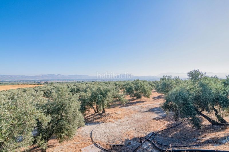 Foto 52b7d994-55ff-4391-81b0-c0b4cacd236d. Finca rústica a Santa Fe