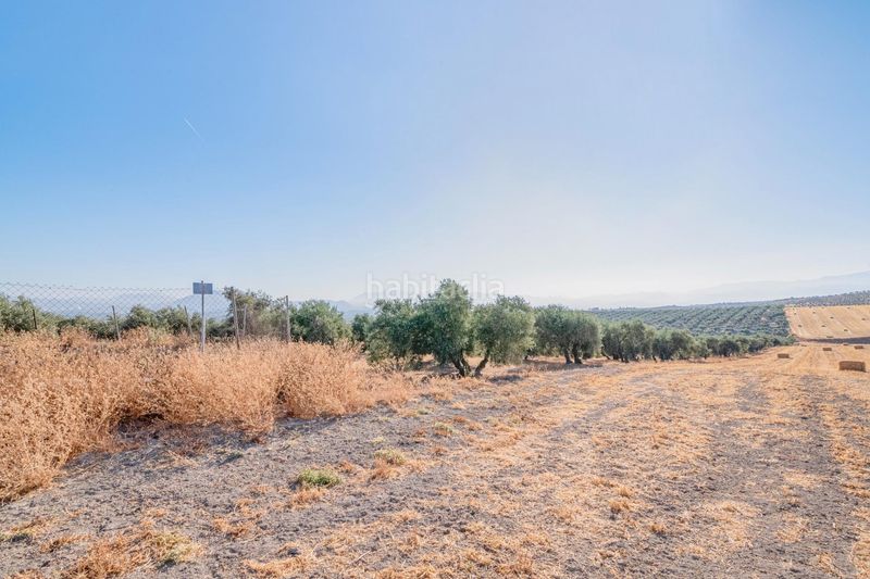 Foto c83285bf-c8aa-4f4e-8559-07c041d49b52. Finca rústica a Santa Fe