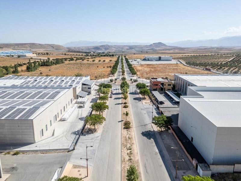 Foto f4b1ac32-9e3d-4de5-93df-3db3d3294d99. Solar industrial en Escúzar
