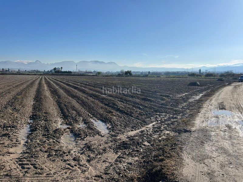 Foto dfb2d661-ab3b-4ac1-a9fe-cf4f7505c851. Finca rústica a Maracena