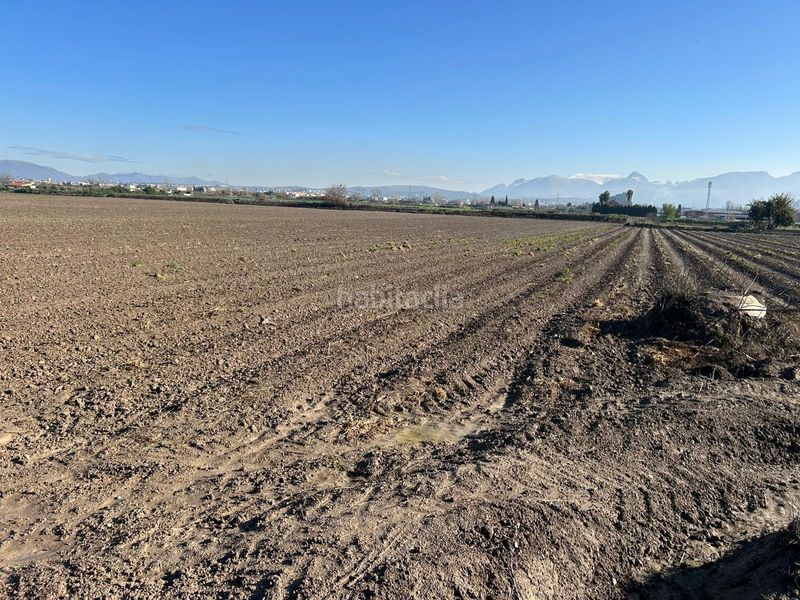 Foto fc3d5cf1-b124-482f-b054-a7994649fa12. Finca rústica a Maracena