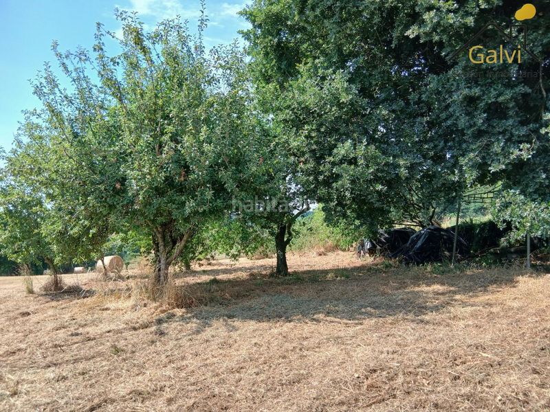 Foto e0b6e12f-e345-4bea-8572-5291923d2e25. Masia amb aparcament a Saviñao (O)