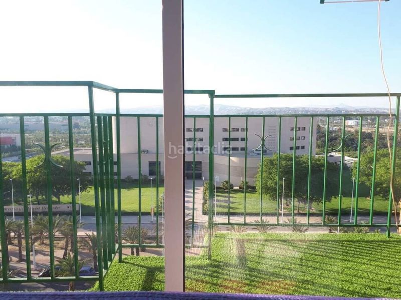 Foto dd19586c-7fc2-407a-95eb-46189cd42381. Pis a Altabix Elche / Elx