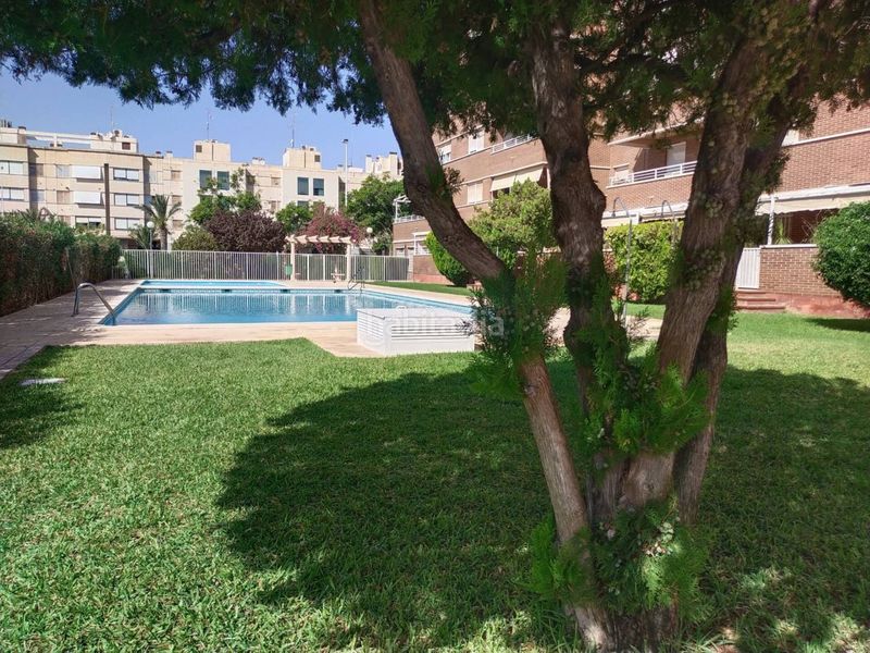 Foto f981a4b0-b292-4fa9-81b2-ec0455585f46. Casa amb piscina a Ciutat Esportiva Elche / Elx