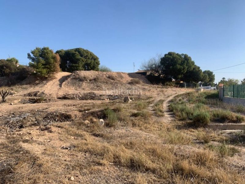 Foto 5a256236-d970-4558-9bb5-a69023db7f0b. Terreny residencial a Peña de las Águilas Elche / Elx