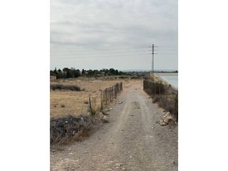 Finca rústica  Calle jubalcoy. Terreno en venta en elx  elche